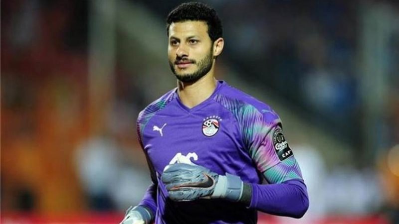 محمد الشناوي