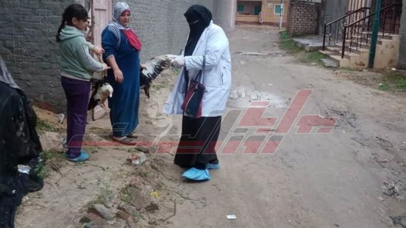 تحصين المواشي