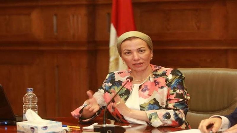 الدكتورة ياسمين فؤاد