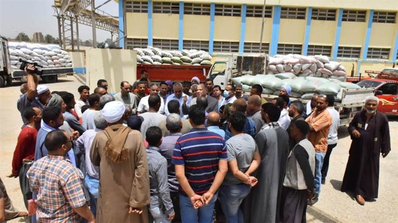 محافظ أسيوط نسب توريد