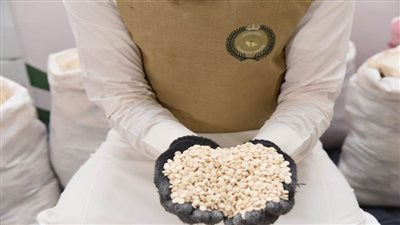 إحباط محاولة تهريب 5 ملايين قرص مخدر إلى الكويت