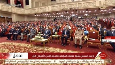 بالفيديو.. الرئيس السيسي يشاهد فيلمًا تسجيليًا عن مستقبل الصحة في إفريقيا