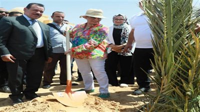 وزيرة البيئة ومحافظ الوادي الجديد يطلقان حملة تشجير لزراعة 1000 شجرة