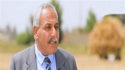 وكيل الزراعة بالغربية: توريد 60٪ من المستهدف من محصول القمح