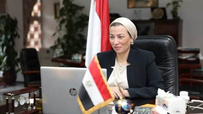 ياسمين فؤاد