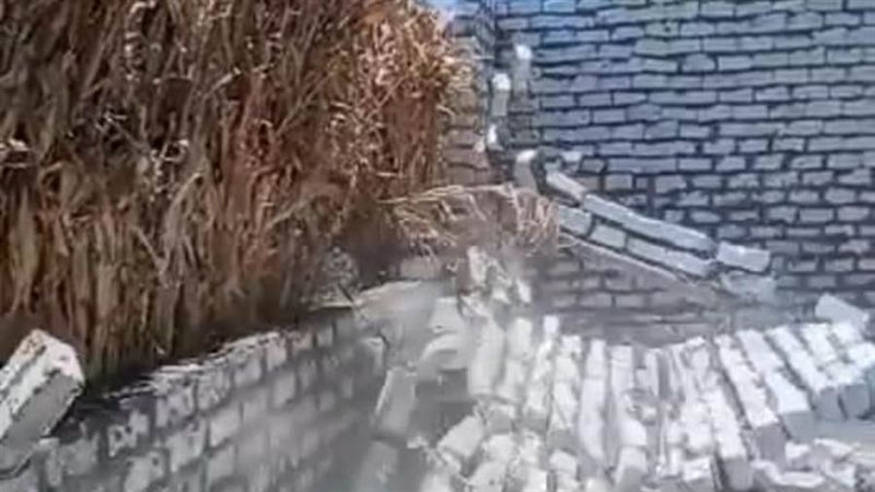 إزالة التعديات على