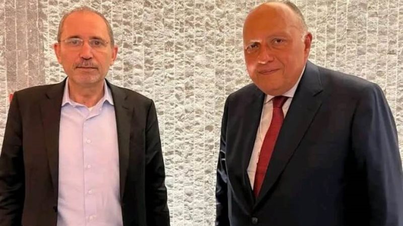 وزير الخارجية سامح