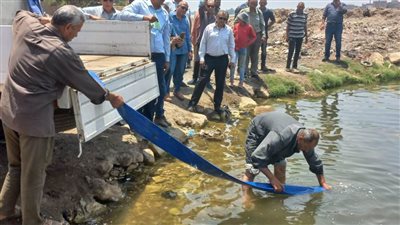 إلقاء 500 ألف ذريعة سمك بلطي في فرع نهر النيل بالدقهلية 