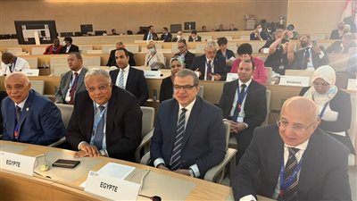 سعفان: نحتاج حاليا إلى بناء القدرات البشرية والتنمية الاقتصادية والحوكمة والتنمية المستدامة والاجتماعية