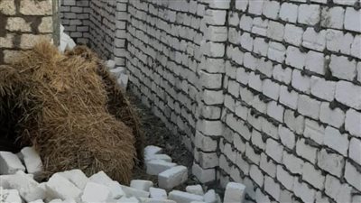 إزالة تعديات بالبناء المخالف على الأراضي بالدقهلية 