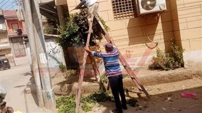 تقليم الأشجار وتكثيف حملات النظافة للحفاظ على المظهر الحضاري بكفر الشيخ