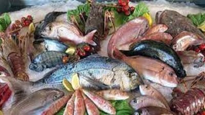 أسعار الأسماك اليوم الثلاثاء 7 يونيو 2022 في سوق العبور