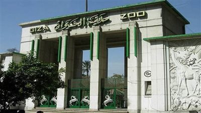 بشرى سارة.. حديقة الحيوان تعلن توحيد تذكرة الدخول بـ5 جنيهات طوال فترة الصيف