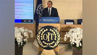 وزير القوى العاملة بمؤتمر العمل الدولي: مصر تعاملت بحرفية شديدة مع أزمة كورونا