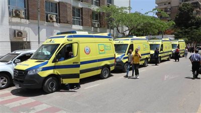 توزيع (4) سيارات إسعاف جديدة مجهزة على قرى ”حياة كريمة“ بالمنوفية