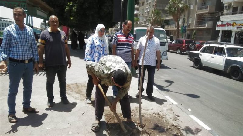 محافظ أسيوط تنفيذ