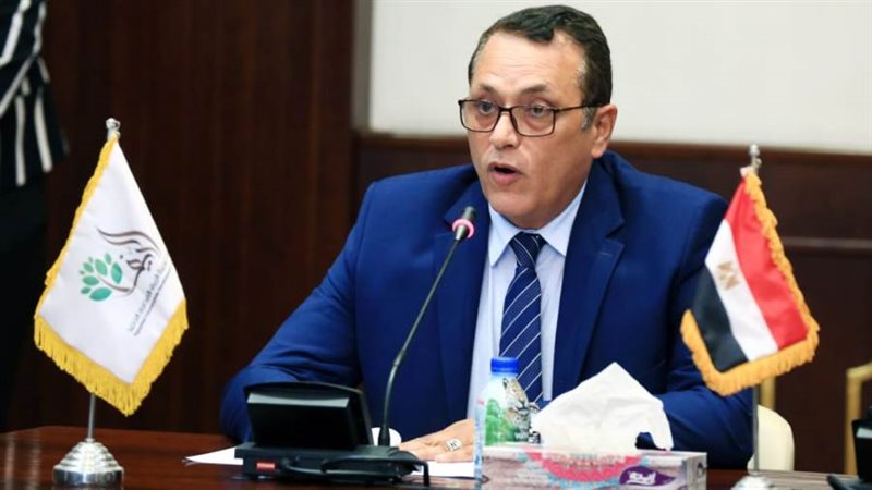 المهندس عمرو عبدالوهاب