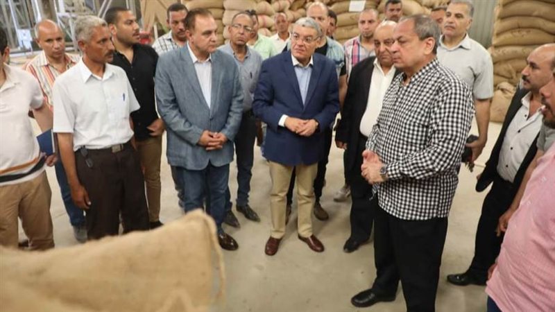 توريد القمح بالمنيا