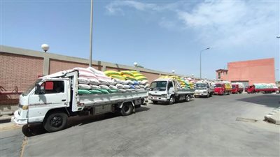 توريد ٣٦٧٥٢٥ طن قمح لشون وصوامع محافظة البحيرة