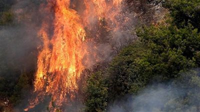 جهود مكثفة للسيطرة على حريق هائل بأكبر غابة صنوبر بالشرق الأوسط شمالي لبنان