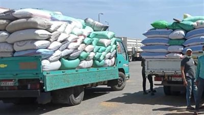 توريد القمح ومتابعة مشروعات حياة كريمة وتكثيف الرقابة التموينية ببني سويف