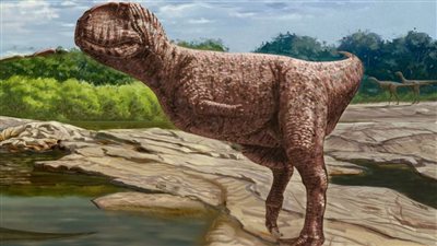 علماء جامعة المنصورة يكتشفون ديناصور 