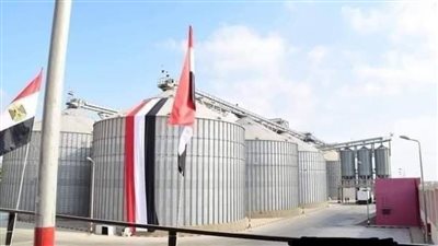 تحقيق 73% نسبة المستهدف من توريد القمح في الوادي الجديد حتى الآن 