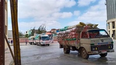 شون وصوامع كفر الشيخ تستقبل 228020 طنًا و 467 قمحًا