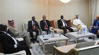 الرئيس الصومالي يُشيد بالدور المصري التاريخي في مساندة الصومال منذ نيله الاستقلال عام ١٩٦٠