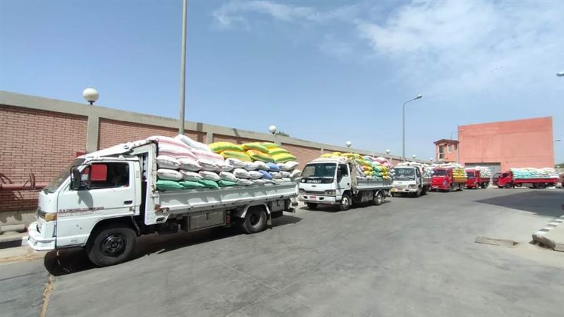 توريد القمح للصوامع