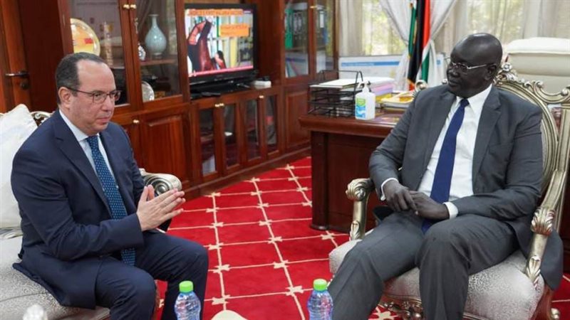 السفير المصري في