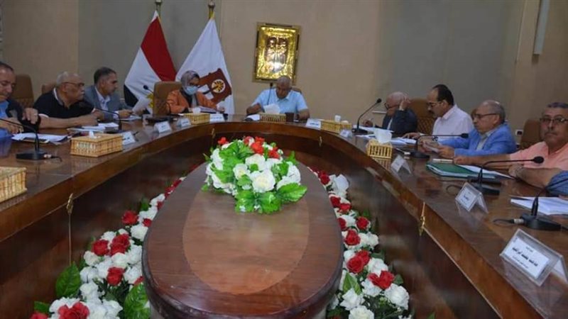 محافظ الوادى الجديد