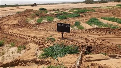 إزالة تعديات على ٢٠ فدانًا من أرض الدولة تروى بمياه الصرف بالوادي الجديد