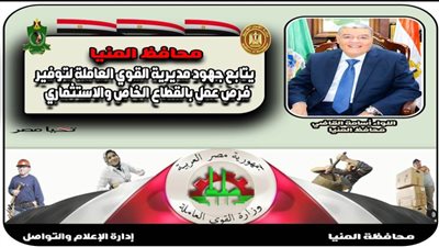 محافظ المنيا: تعيين 490 شاباً بمنشآت القطاع الخاص والاستثماري والتفتيش على 352 منشأة