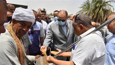 محافظ أسيوط: استلام 159 ألفًا و803 أطنان قمح بالصوامع والشون حتى اليوم