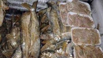 ضبط رنجة ودقيق فاسد بحملة تموينية بالقليوبية