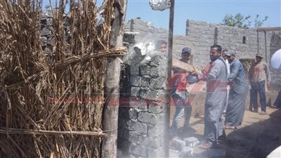 إزالة حالات التعدي على الأراضي الزراعية بكفر الشيخ