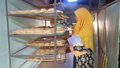 حماية المستهلك بالوادي الجديد يشن حملة على المخابز البلدية ببلاط