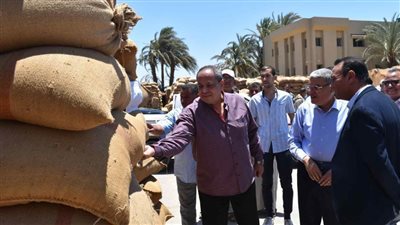 المنيا تحقق المستهدف بتوريد القمح 463 ألف طن للشون والصوامع