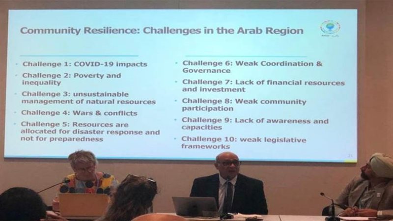 د عماد عدلي في اجتماع