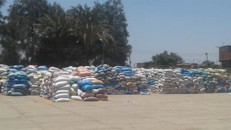 توريد القمح بالواسطى