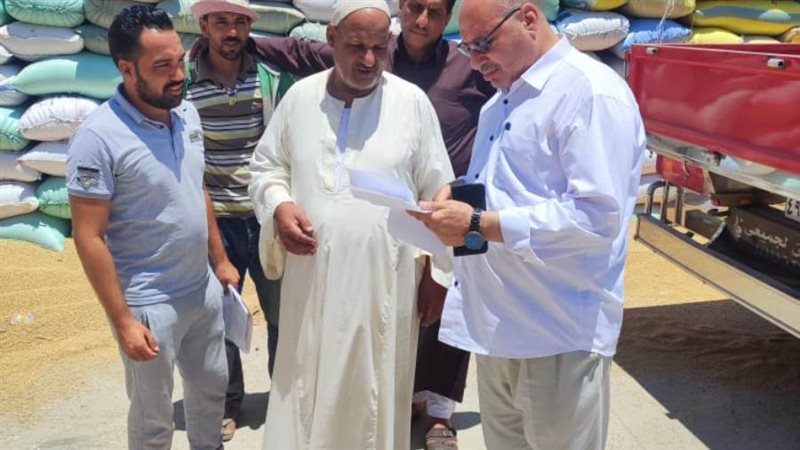 توريد القمح للصوامع