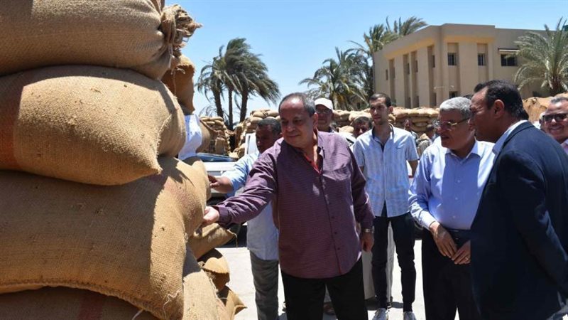 محافظ المنيا يتابع