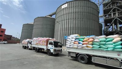 توريد ٣٧٤٨٧١ طن قمح لشون وصوامع محافظة البحيرة