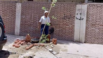 حملة تشجير بشوارع مركز ومدينة طهطا بسوهاج 