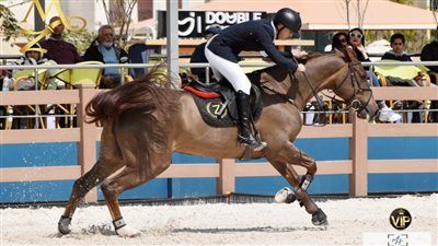 اليوم.. 59 فارسا يتنافسون على لقب بطولة الجمهورية للفروسية 