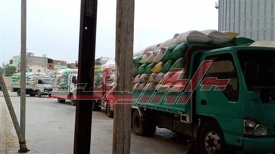 توريد231081 طنا و933 كيلو قمح لشون وصوامع كفر الشيخ