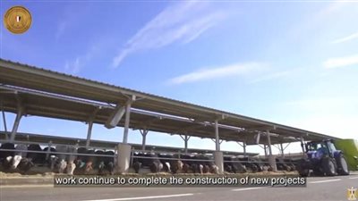 التغطية الكاملة لافتتاح مشروعات الإنتاج الحيواني والألبان والمجازر الآلية بحضور الرئيس السيسي