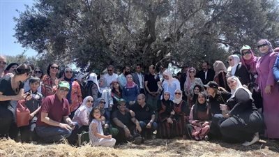 الأردن استضافت الاجتماع الـ58 للجنة الاستشارية للمجلس الدولي للزيتون