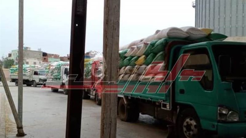 توريد القمح